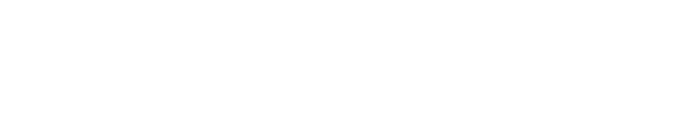 Logo Full Voice