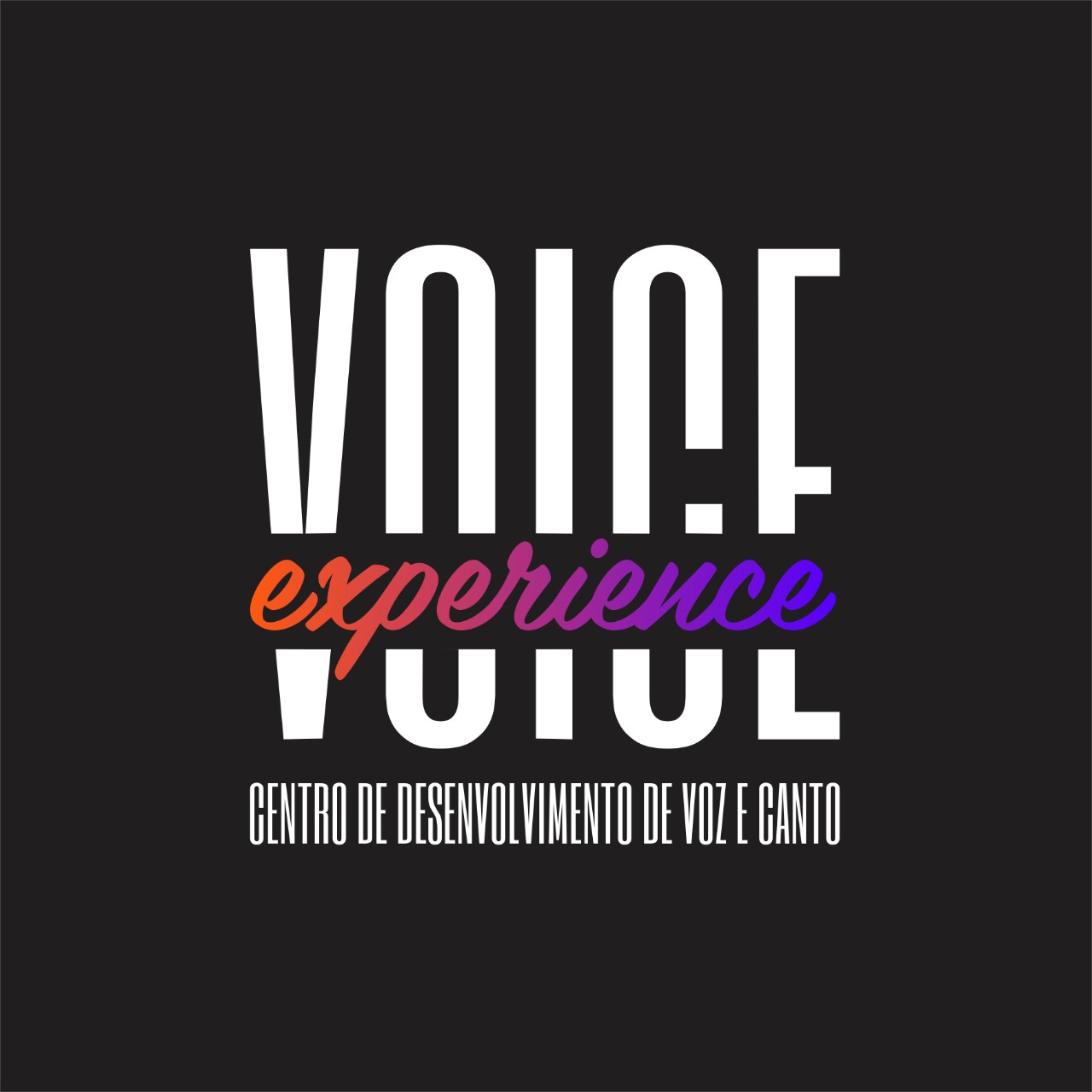 Voice experience